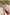 Off-White Bagh Print Cotton Kurta with Maroon Trim – Tarang