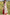 Off-White Bagh Half & Half Cotton V-Neck Kurta – Tarang