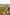 Off-White & Maroon Bagh Hand Print Cotton Kurta – Tarang