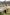 Off-White & Maroon Bagh Stripe & Dot Cotton Shirt – Tarang