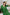 Cotton Kurta Cord Set in Solid Green for Women – Sahaj