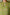 Indian Summer Green Kota Kurta | Ray-ethnic