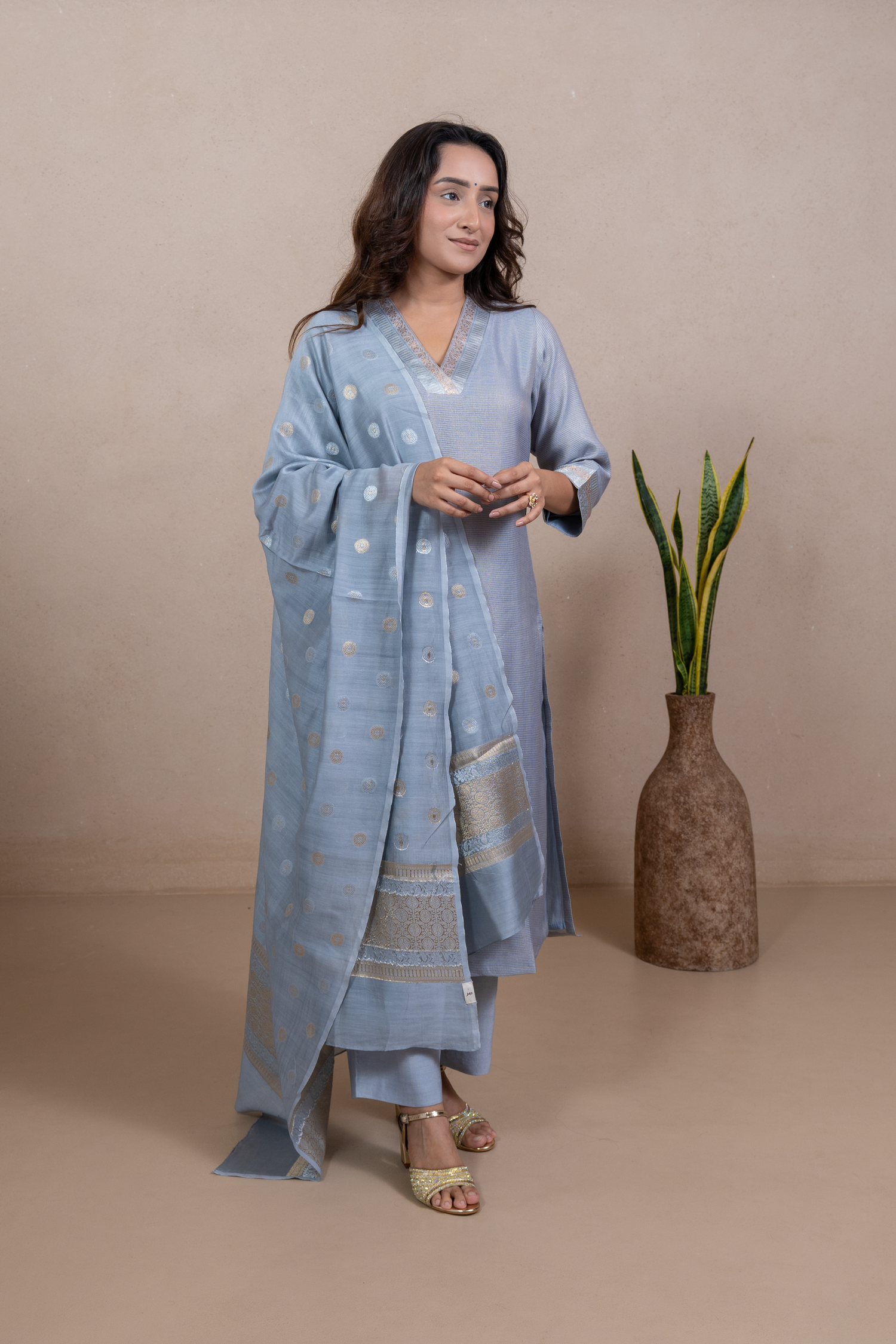 Raysham Silver Grey Embroidered Tissue Silk Set of 2 | Ray-ethnic