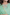 Raysham Green Ari Embroidery Silk Set of 3 |Ray-ethnic