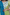 Raysham Green Bandhani Modal Set of 3 | Ray-ethnic