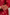 Raysham Red Block Printed Munga Silk Set of 3 | Ray-ethnic