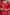 Raysham Red Embroidered Tusser Silk Set of 3 | Ray-ethnic