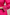 Raysham Rani Pink Embroidered Cotton Silk Set of 3 | Ray-ethnic