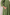 Aakruti Green Sequins Cotton Set of 3 | Ray-ethnic
