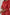Rust Cotton Silk Kurta Set of 2 - Dhaaga