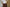 Coffee Brown Airy Cotton Straight Trousers for Women | Ray Ethnic