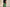 Mint Green Airy Cotton Straight Trousers for Women | Ray Ethnic