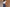 Indigo Blue Cotton Straight Pants for Women | Ray Ethnic