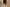 Women's Cotton Straight Pants with Pockets in Yellow | Ray Ethnic