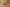Women's Cotton Straight Pants with Pockets in Yellow | Ray Ethnic