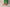 Green Cotton Straight Pants with Pockets | Ray Ethnic