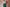 Forest Green Cotton Straight Pants for Women | Ray Ethnic