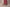 Raspberry Pink Cotton Straight Pants for Women | Ray Ethnic