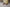 Natural Airy Cotton Straight Trousers for Women | Ray Ethnic
