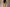 Ajrakh Green Cotton Easy Pants for Women | Ray Ethnic