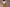 Green Beige Cotton Easy Pants for Women | Ray Ethnic