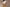 Green Beige Cotton Easy Pants for Women | Ray Ethnic