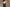 Green Cotton Easy Pants for Women | Ray Ethnic