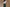 Green Cotton Easy Pants for Women | Ray Ethnic