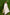 Full-Sleeve Round Neck Kurta Set in Mul Chanderi with Churidar