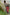 Block Print Cotton Kurta in Maroon - Mehrab
