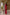 Women's Ajrakh Round Neck Maroon Kurta - Mehrab