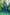 Aakaar Ink Blue Ajarakh Cotton Set Of 2 | Ray-ethnic