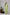 Layered Kurta Cord Set in Solid Green for Women - Sahaj