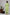 Layered Kurta Cord Set in Solid Green for Women - Sahaj