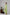 Layered Kurta Cord Set in Solid Green for Women - Sahaj