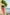 Pink Mul Cotton 3/4 Sleeve Boat Neck Kurta with Bead Detail – Secret Garden