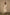Ek Dor Mul Chanderi Set of 3 – Elegant Ivory Handwoven Ensemble