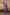 Ray Ethnic The Ira Bright Purple Cotton Silk Slub Set of Three with Chanderi Dupatta