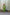 Cotton Silk Slub Badla Set of Two– The Ira by Ray Ethnic