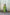 Cotton Silk Slub Badla Set of Two– The Ira by Ray Ethnic