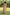 Gul Olive Green Block Print Cotton Dress | Ray-ethnic