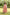 Gul Pink Block Print Cotton Dress | Ray-ethnic