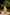 Yellow Cotton Silk Slub Badla Work Set of Two – The Ira by Ray Ethnic