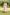 Gul Light Pink Block Print Cotton Dress | Ray-ethnic