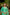 Ray Ethnic Ira – Green Chanderi Silk Kurta Set of 3 with Delicate Hand Embroidery