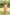 Gul Baby Pink Block Print Modal Dress | Ray-ethnic