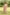 Gul Baby Pink Block Print Modal Dress | Ray-ethnic