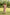 Gul Baby Pink Block Print Modal Dress | Ray-ethnic