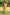 Gul Baby Pink Block Print Modal Dress | Ray-ethnic