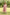 Gul Light Pink Block Print Cotton Dress | Ray-ethnic